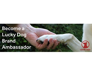 Become a Lucky Dog Brand Ambassador and Get Free Dog Food, Toys, Accessories, Crates, and More
