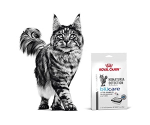 Free Sample of Royal Canin Hematuria Detection Cat Food