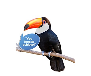 Get a Free ZooZingo Animal Cards Set for Elementary School Teachers