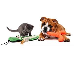 Get a Free Pet Toy from Hartz - Playtime with Your Furry Friend!