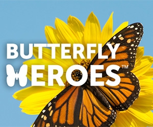 Claim Your Free Wildflower Seeds and Help Restore Butterfly Populations