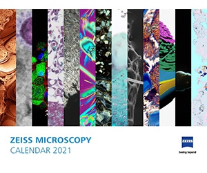Get a Free ZEISS 2021 Calendar with Stunning Microscopy Photos
