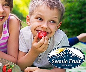 Get x2 Free Smoothies from Scenic Fruit Company