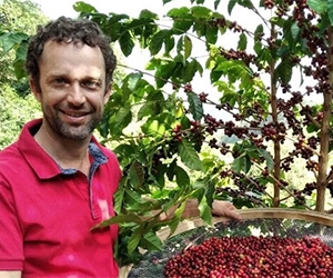 Free Brazillian Specialty Green Coffee Beans From Bean Belt Coffees 
