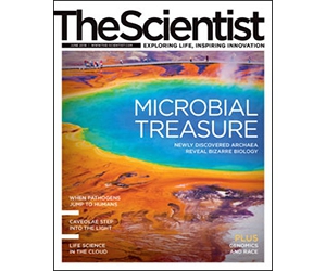 Sign Up Now for a Free 1-Year Subscription to The Scientist Magazine