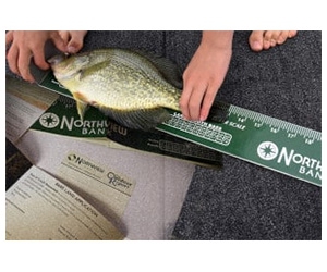Measure Up Your Memories with a Free Fish Ruler and Information Packet!