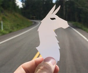 Join the Llama Lovers Club - Claim Your Free Llama Sticker Now!