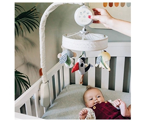 Sign Up to Test the Tiny Love Boho Chic Baby Toys Collection for Free