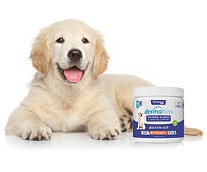 Free Dermabliss Allergy Care for Pets