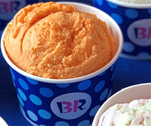 Free 2.5 Oz Scoop Coupon + Birthday Coupons from Baskin Robbins