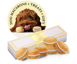 Become a Bonne et Filou Ambassador and Get Free Dog Treats!