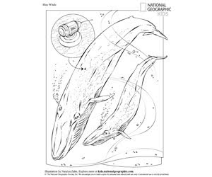 Free Coloring Book: Animals from National Geographic Kids