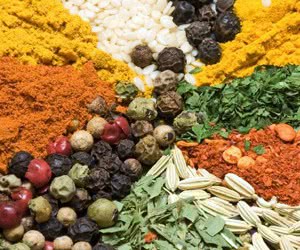 Experience the Flavors of Herbs & Spices for Free!