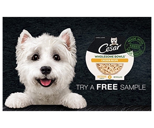 Free Cesar Wholesome Bowls for Dogs - Sign Up Now!