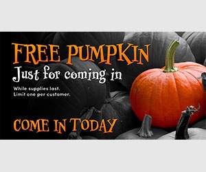 Get a Free Pumpkin at RC Willey to Start Your Halloween Celebrations!
