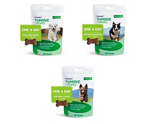Keep Your Furry Friend Healthy and Active with a Free Lintbells YuMove Joint Health Dog Supplement